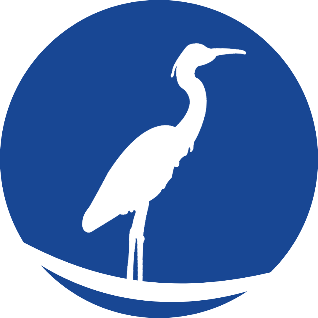 Trash Free River